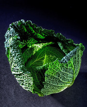 Cabbage. Savoy Cabbage Whole On Dark Background.