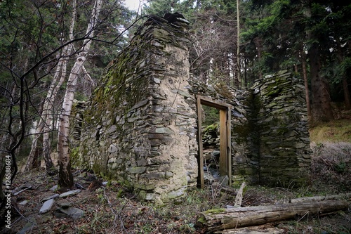 Old abandoned ruined stone house in the forest - Buy this stock photo and explore similar images at Adobe Stock | Adobe Stock
