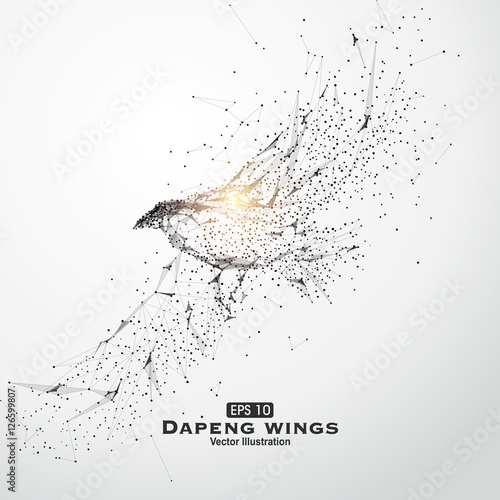 Fotografía Eagle wings, points, lines and connected to form, vector illustration