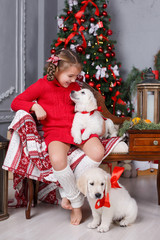 Happy girl 6 years old brunette,hair braided in two braids,wearing a red knit dress,spends the Christmas holidays with his friends,two Golden Retriever puppy at home near Christmas tree