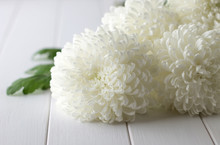 Bouquet Of Fresh White Chrysanthemums On A White Wooden Background.