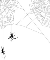 Wall Mural - two small spiders in black web on white