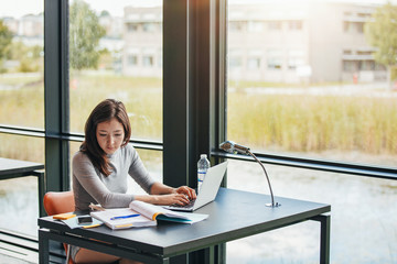 Wall Mural - Young asian woman in library doing assignments