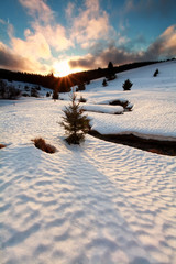 Wall Mural - mountain river in winter mountains