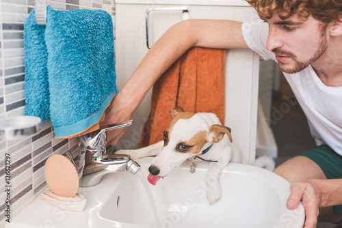 Dog Drinking Water From Bathroom Sink Kaufen Sie Dieses