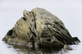 Fototapeta Tęcza - Big rock in water near shore