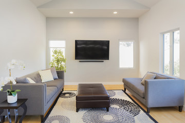 Modern interior with couch, sofa, rug, table and wall mounted TV