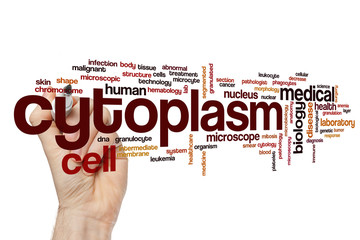 Canvas Print - Cytoplasm word cloud