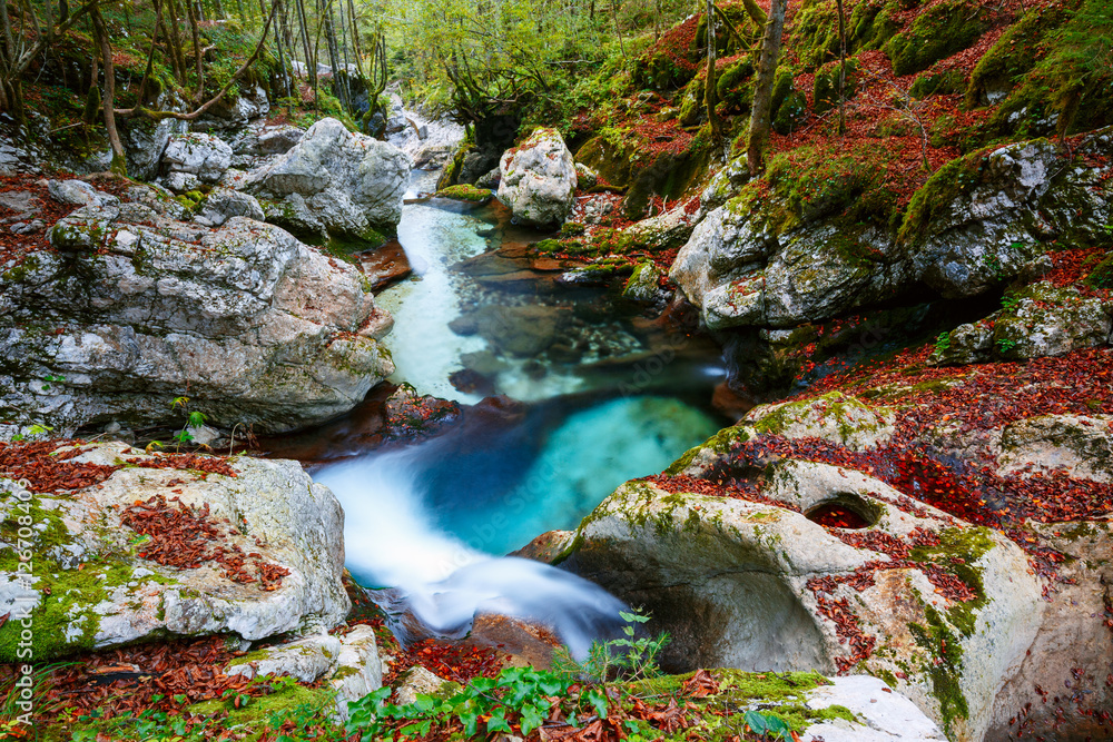 Mountain creek autumn in the Lepena valley - obrazy, fototapety, plakaty 