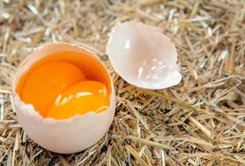 Cracked egg with double yolks isolated straw background (country egg)