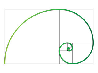 The Fibonacci spiral. Vector EPS 10