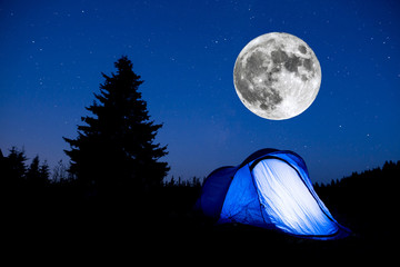 Wall Mural - blue tent night sky pine tree super moon