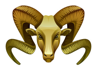 Golden ram