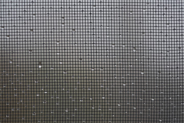 Rain water drops on the window mosquito net