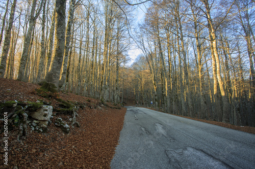 Passo di Forca d'acero in autunno, un bosco tra Lazio e Abruzzo. Alberi, rocce e mille colori della natura © Claudio Quacquarelli