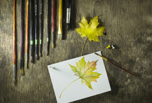 Art Brush With Sketches And Autumn Leaves
