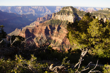 Sticker - Early morning light on rugged canyon ridges