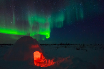 igloo and aurora borealis