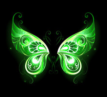 Green Fairy Wings