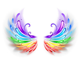 Wall Mural - Rainbow Wings on a White Background