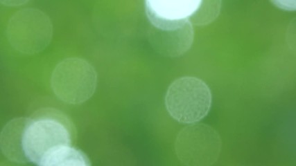 Green nature background with motion of defocus sunlight. (HD footage no sound)