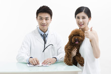 Veterinarian Examining A Cute Poodle