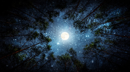 Wall Mural - beautiful night sky, the milky way, moon and the trees. elements of this image furnished by nasa.