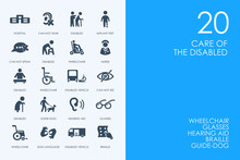 Set Of BLUE HAMSTER Library People With Disabilities Icons