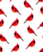 Seamless Pattern With Red Cardinal. Vector Background.