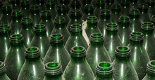  Old Empty Green Glass Bottles, Covered With Dust
