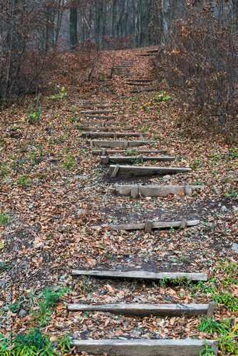 Naklejka na szybę Drewniane schody w jesiennym lesie