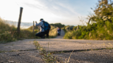 Man taking pictures on a hike