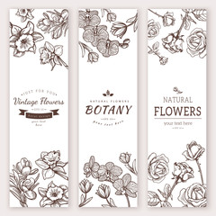 Wall Mural - Flower vintage styled sketch banners.