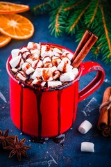 Wall Mural - Hot cocoa with chocolate, marshmallow and cinnamon