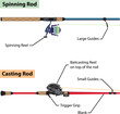Diagram of spinning rod and baitcasting rod vector illustration