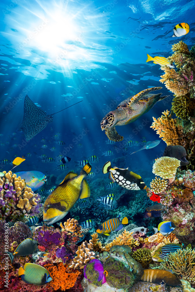 underwater sea life coral reef vertical high format with many fishes and marine animals - obrazy, fototapety, plakaty 