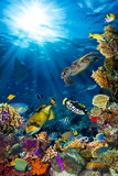 Fototapeta Do akwarium - underwater sea life coral reef vertical high format with many fishes and marine animals