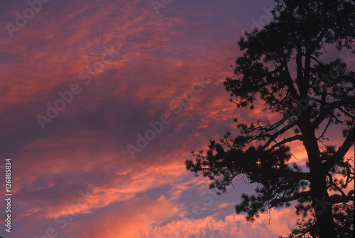Alpenglow brings vivid color to this high Sierra Nevada sunset. Poster