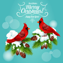 Christmas Card With Cardinal Bird On Pine Tree
