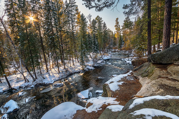 Wall Mural - First snow in the Siberian taiga