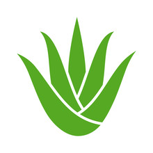 Green Aloe Vera Plant With Leaves Flat Color Icon For Apps And Websites