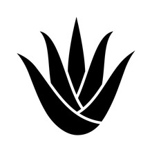 Aloe Vera Plant With Leaves Flat Icon For Apps And Websites