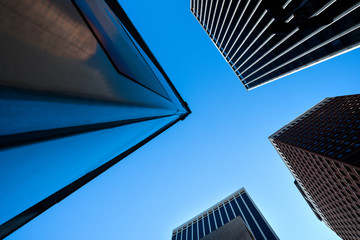 Skyscrapers view up from the ground