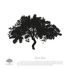 Wall Mural - Black tree silhouette on a white background. Picture of apple