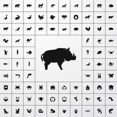 Wall Mural - boar icon illustration