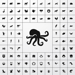 Wall Mural - octopus icon illustration