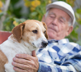 Wall Mural - Senior man with dog in courtyard