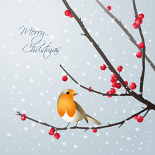 Christmas Card With Bird Sitting On Branch