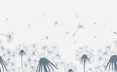 Dandelion field seamless horizontal background. Hand drawn dandelions grass flowers with blowing seeds. Vector illustration