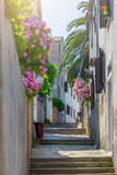 Fototapeta  - Traditional European Mediterranean architectural style in the streets and houses, yard, porches, stairs, shutters in the afternoon sunbeam, surrounded by vine, hydrangea and palm at summer Mali Losinj